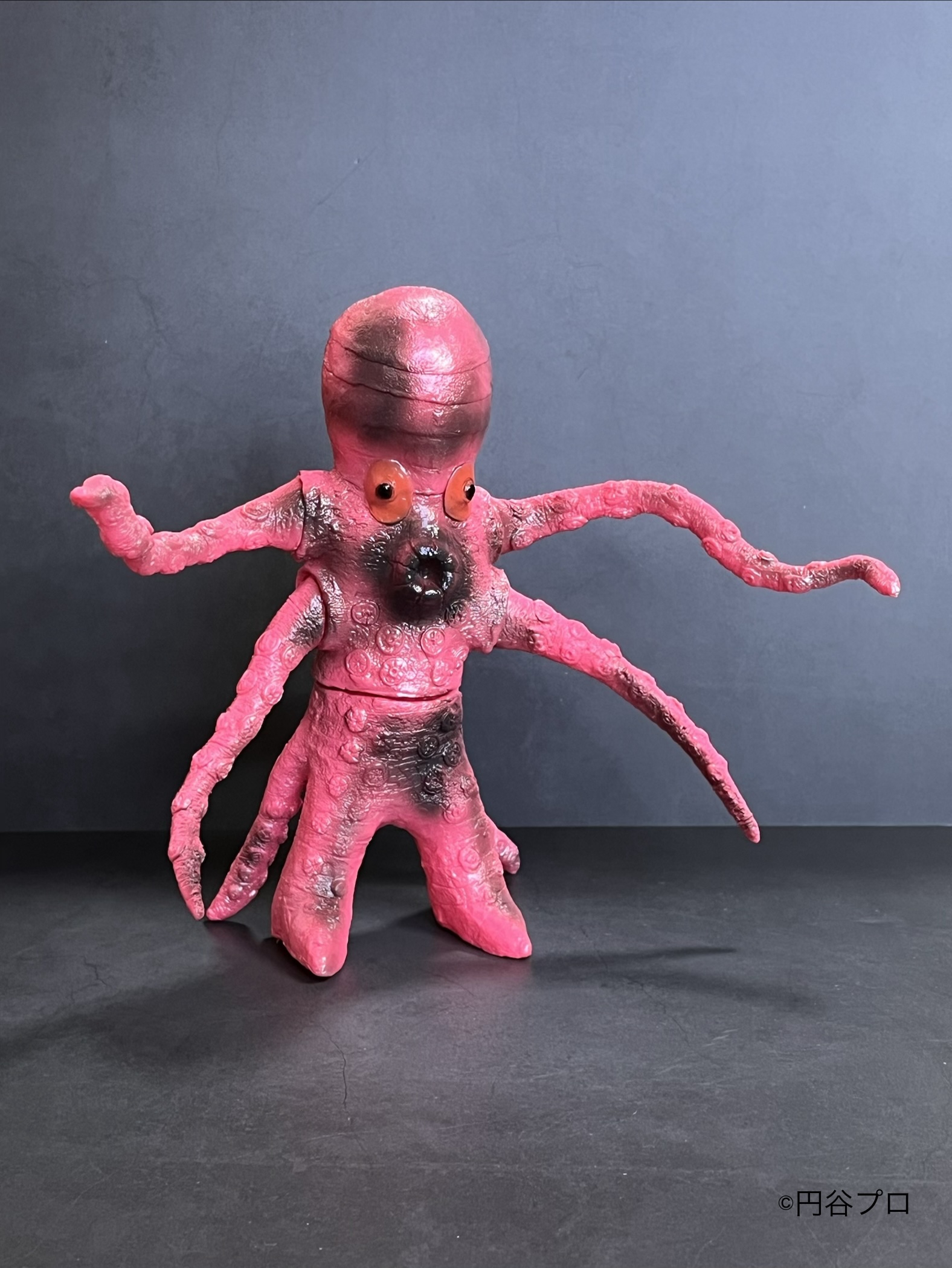 LEOそふび坊や LEO SOFVI BOUYA