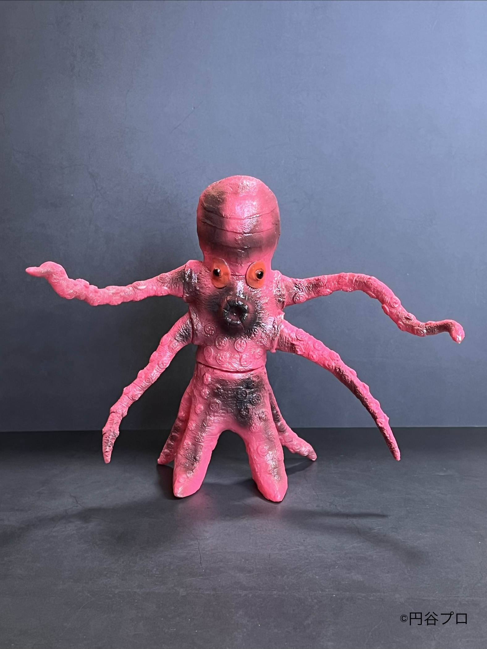 LEOそふび坊や LEO SOFVI BOUYA