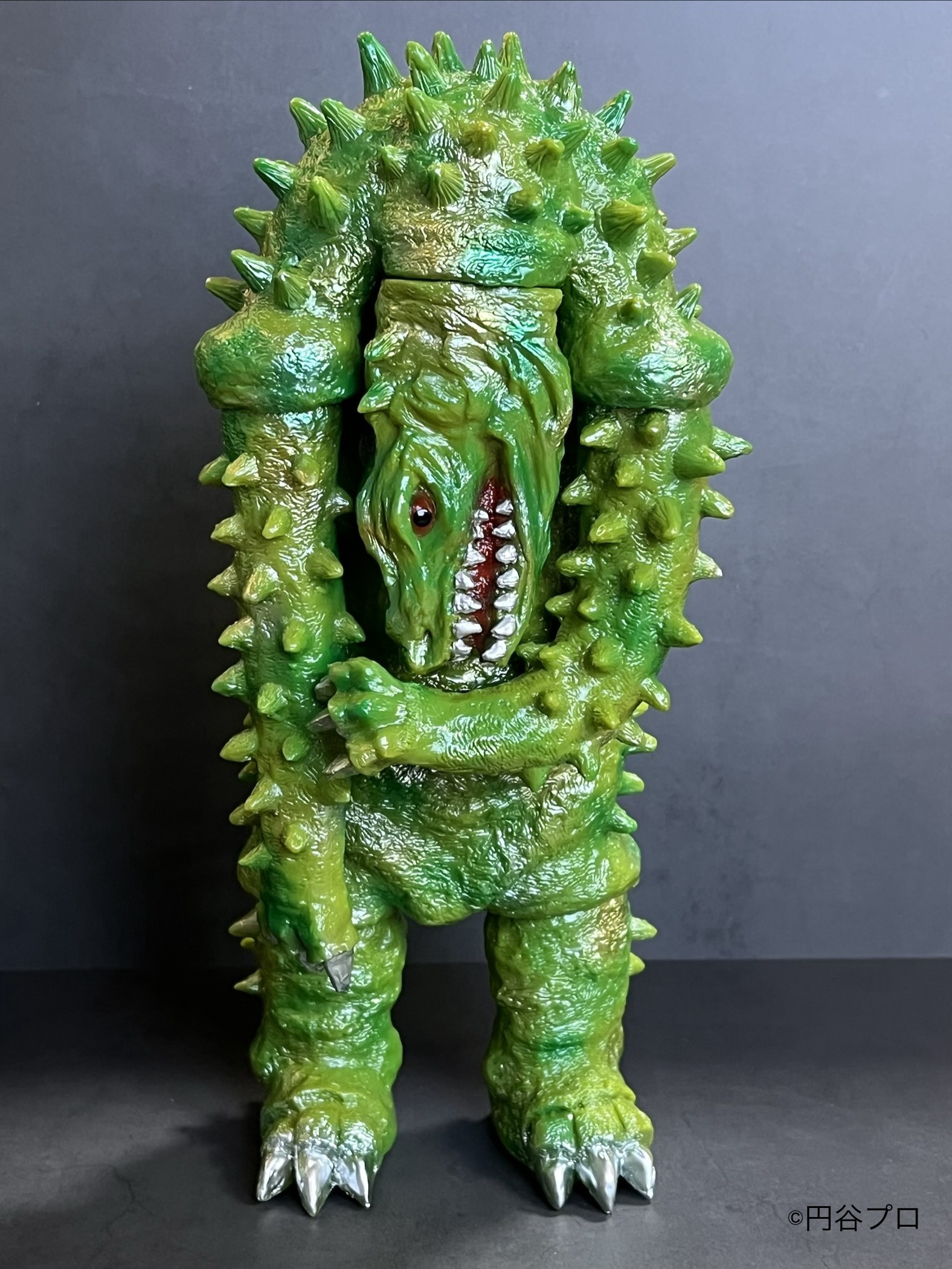 LEOそふび坊や LEO SOFVI BOUYA