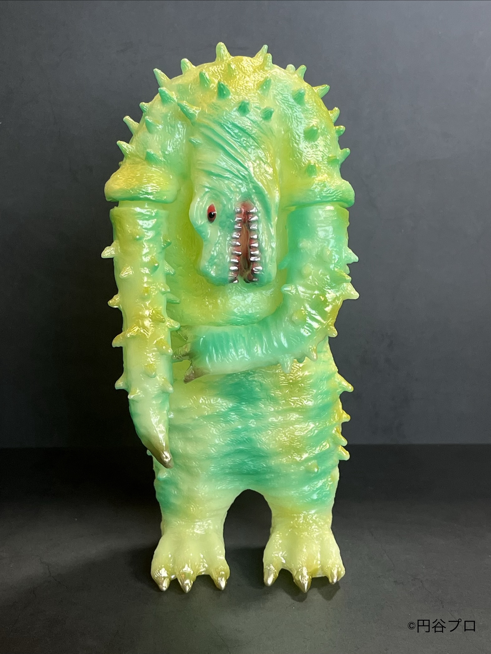 LEOそふび坊や LEO SOFVI BOUYA