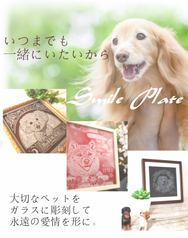 ペットのスマイルプレート
