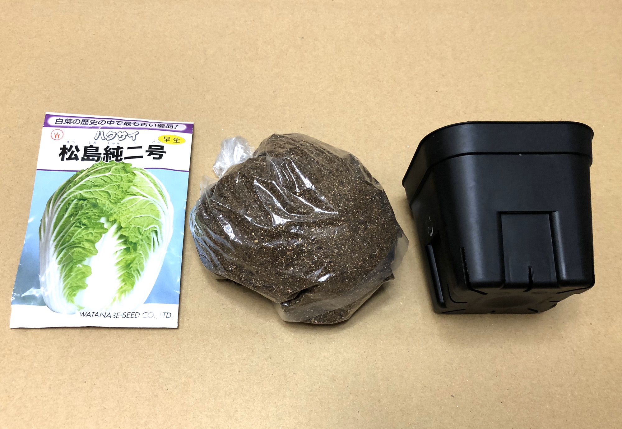 白菜の栽培記録 Day1 8 15 食文化創志科 耕し日記