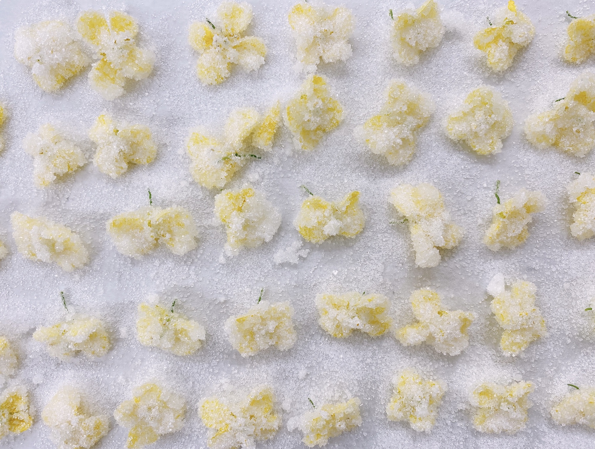 菜の花の砂糖漬け 食文化創志科 耕し日記