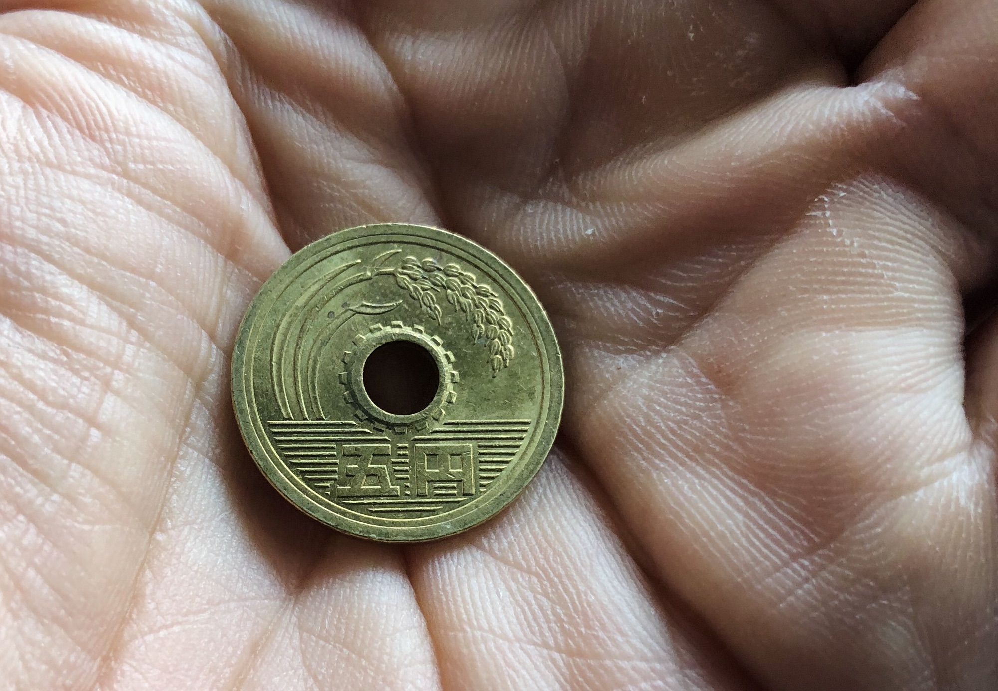 五円デザイン | 食文化創志科 耕し日記
