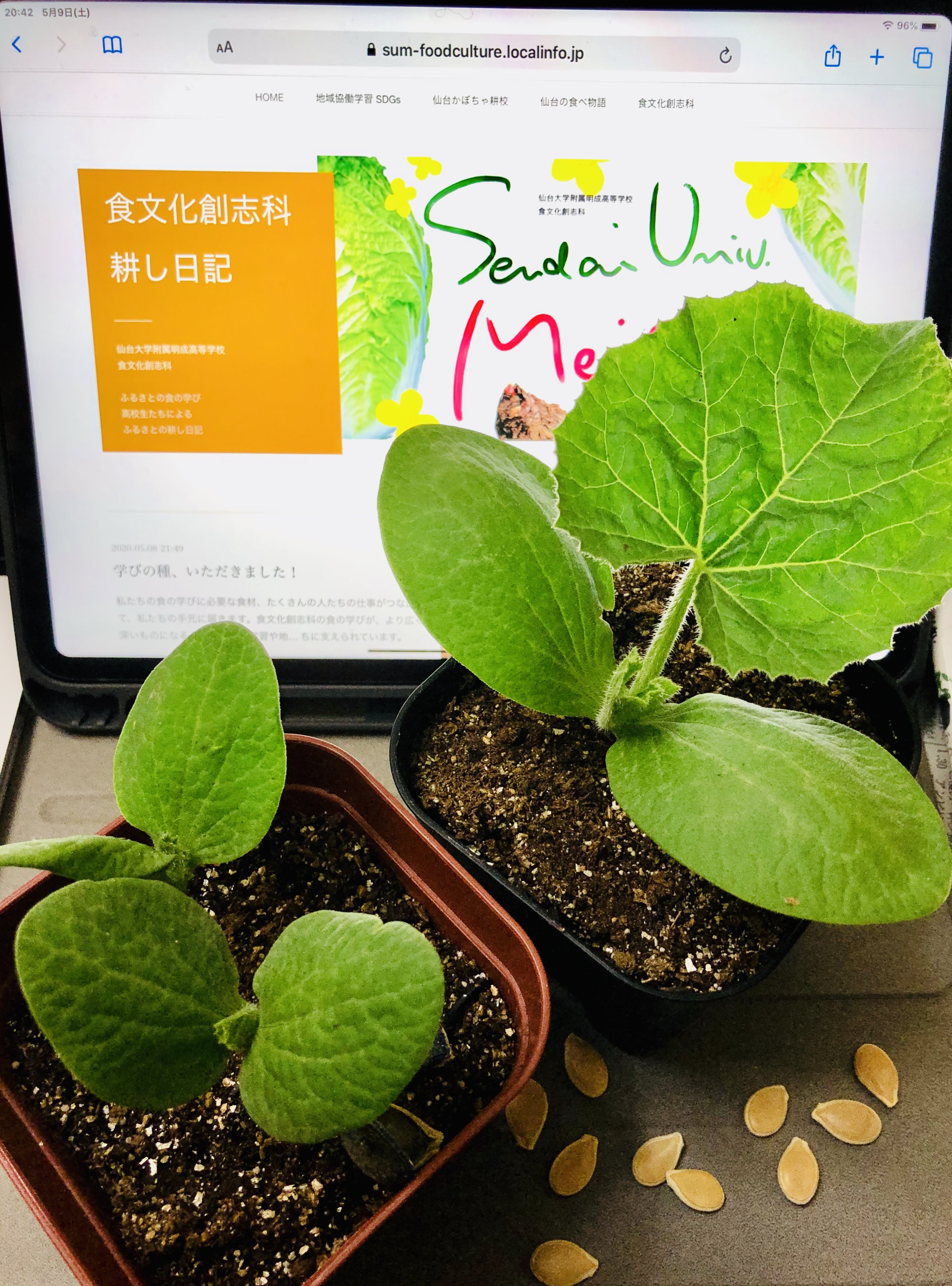 81a08b90c1494c8b8cf191eaa9ee8a