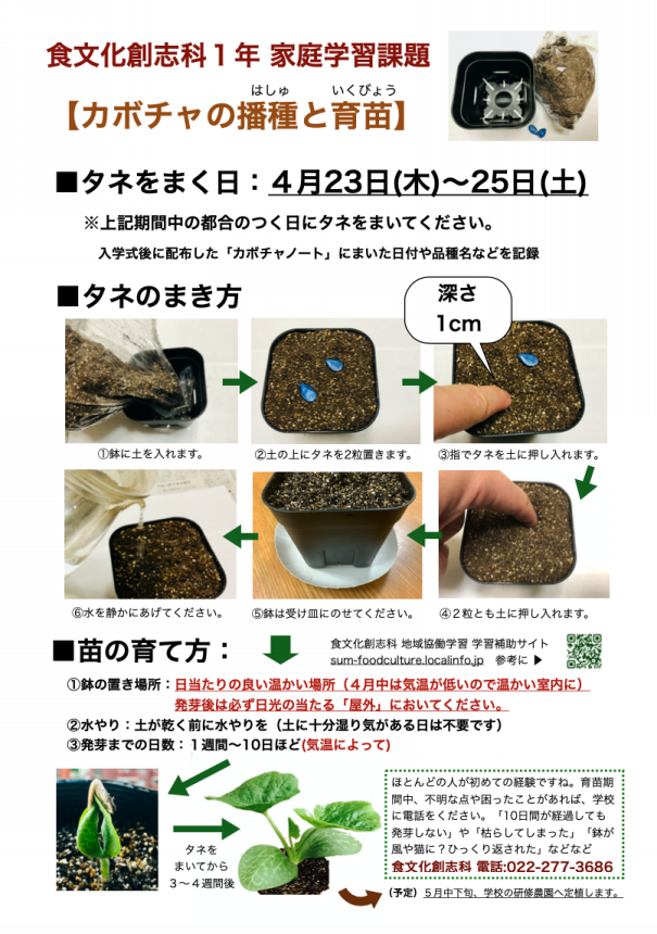 大切なお知らせ（かぼちゃの種まき） | 食文化創志科 耕し日記