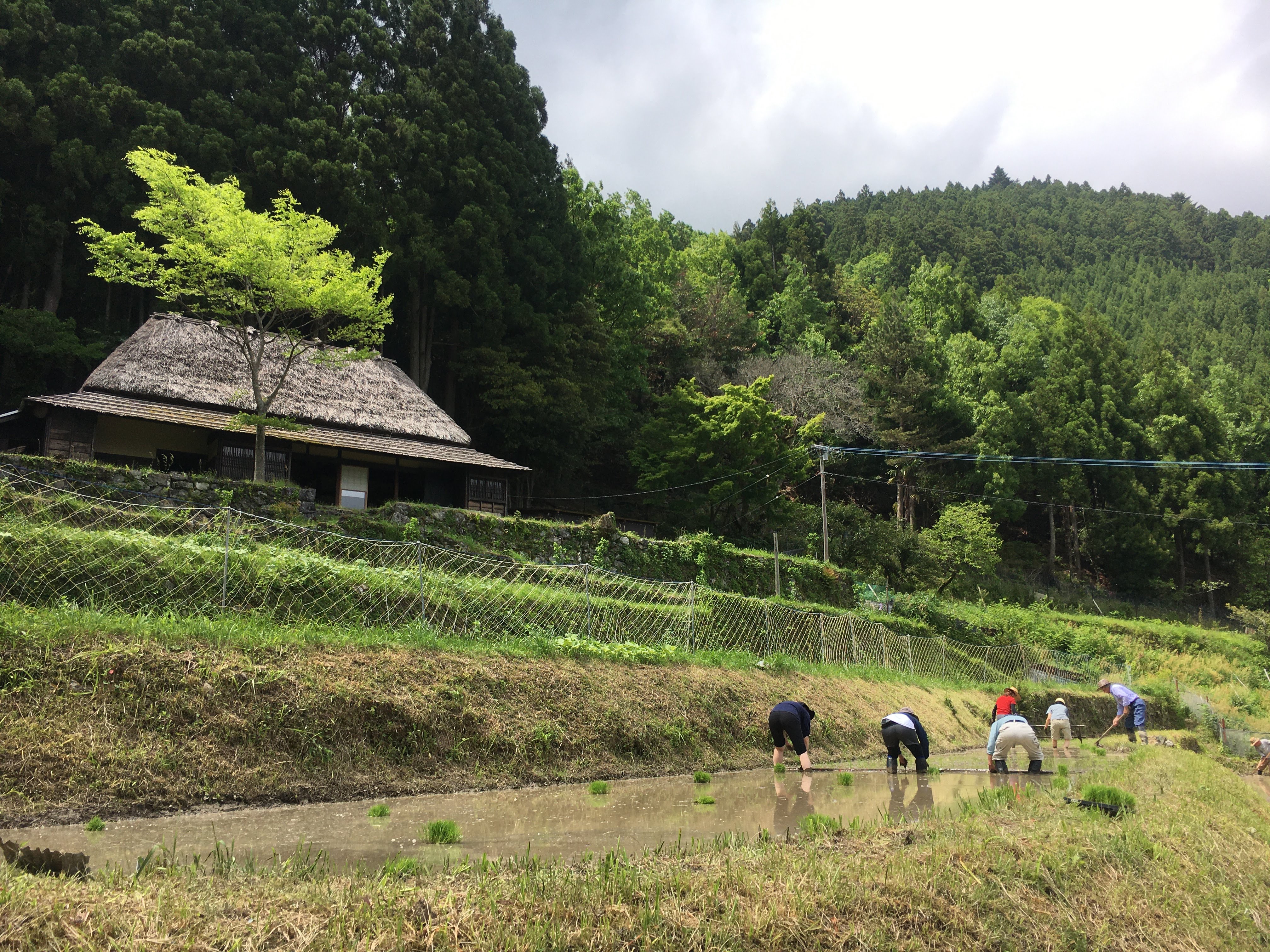 かみかつ茅葺き学校の写真(徳島県上勝町)