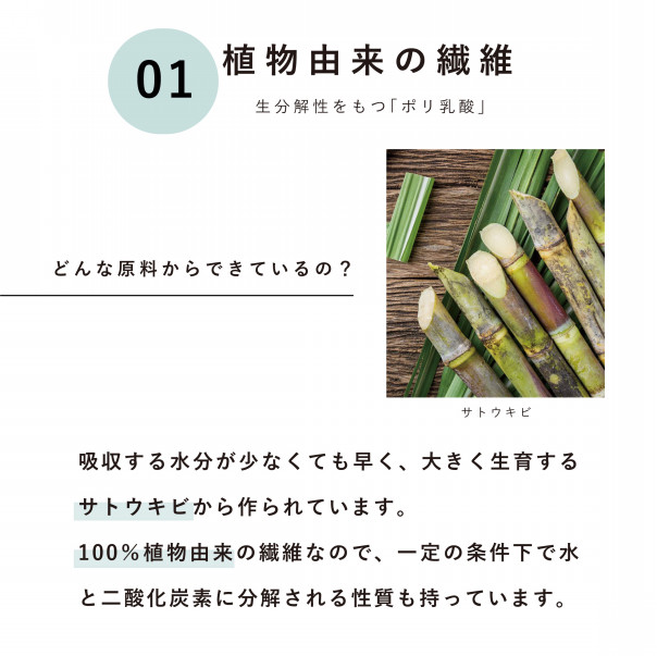 piyola original ビタット部分について 無作法