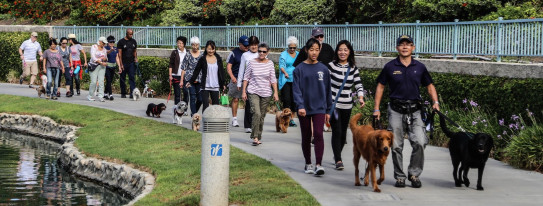 Aiken Dog Training 愛犬ドッグトレーニング