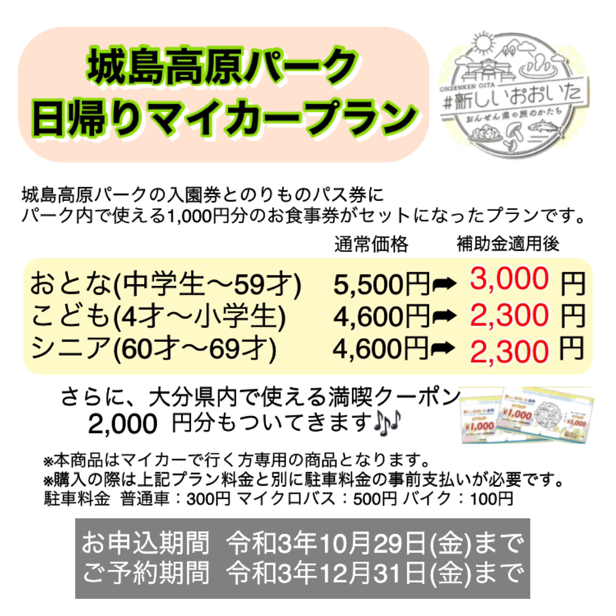 入園券☆城島高原パーク☆50枚☆250名分☆入場券☆遊園地☆大分☆別府