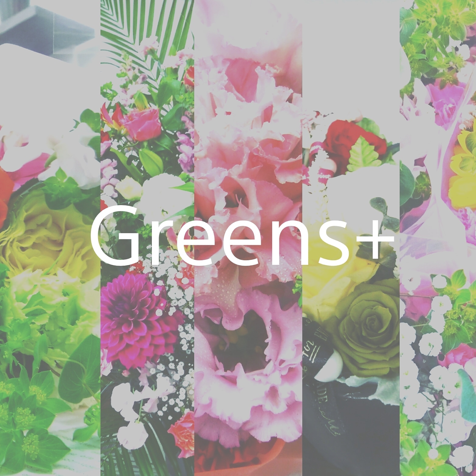 フラワーギフト Greens