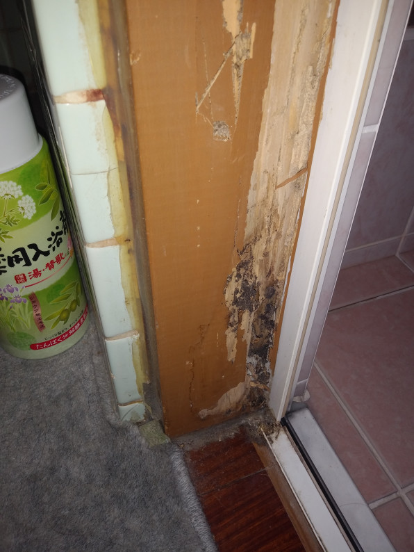 シロアリ駆除 豊橋市のしろあり対策 害虫駆除 お住いの困ったなどお任せください すまいサポート119 シロアリ駆除 豊橋市のしろあり対策 害虫駆除 お住いの困ったなどお任せください すまいサポート119