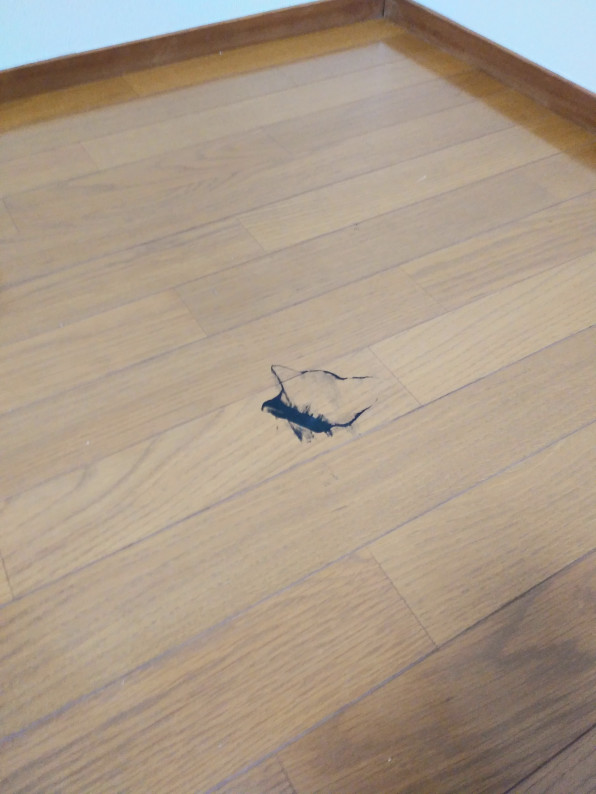 アパート退去後の清掃 豊橋市のしろあり対策 害虫駆除 お住いの困ったなどお任せください すまいサポート119