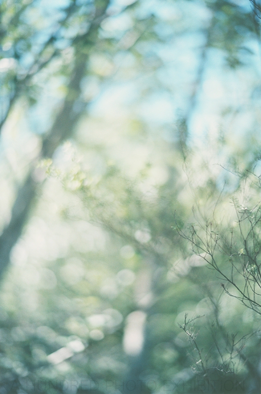 0086. Mikiya Takimoto | A HUNDRED PHOTO EXHIBITION