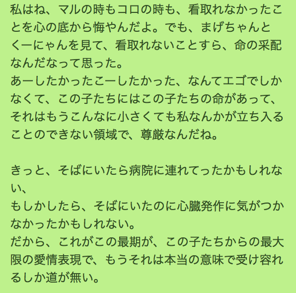 私の幸せを彩る命たちへ Kiss Hug And Smile