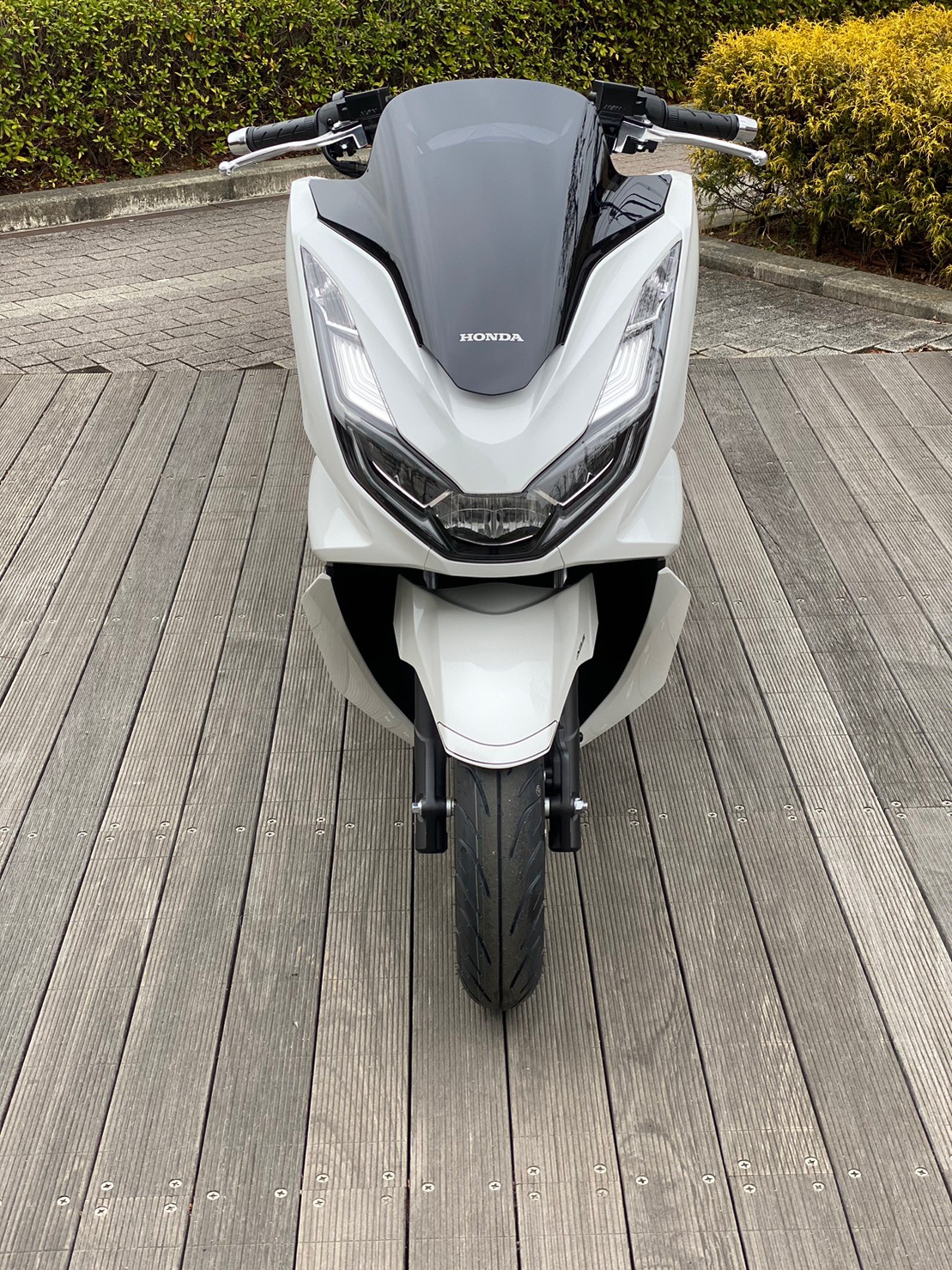 SOLD OUT】新車 HONDA PCX 125（白） | 鈴木商会