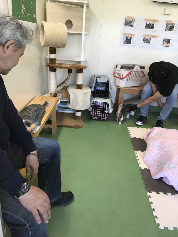 青森県動物愛護センター 青森失語症友の会 ちょちゃべの会