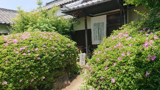 アクセス 創作料理 茶花 久留米本店 小郡店