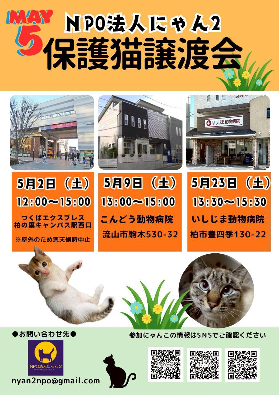 NPO法人にゃん2