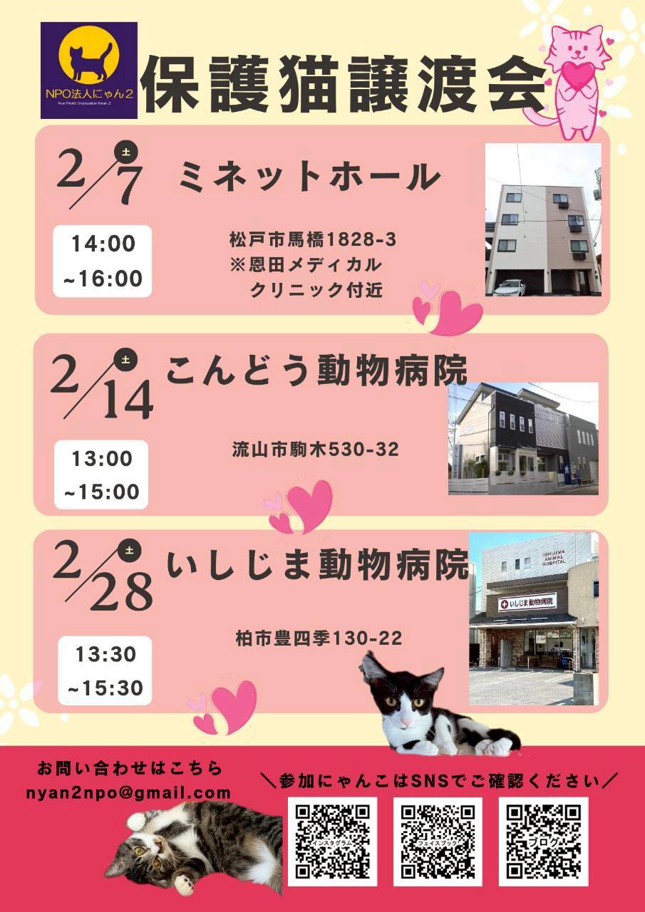 NPO法人にゃん2
