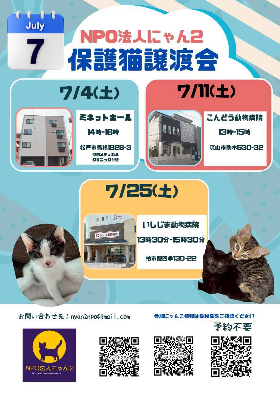 NPO法人にゃん2
