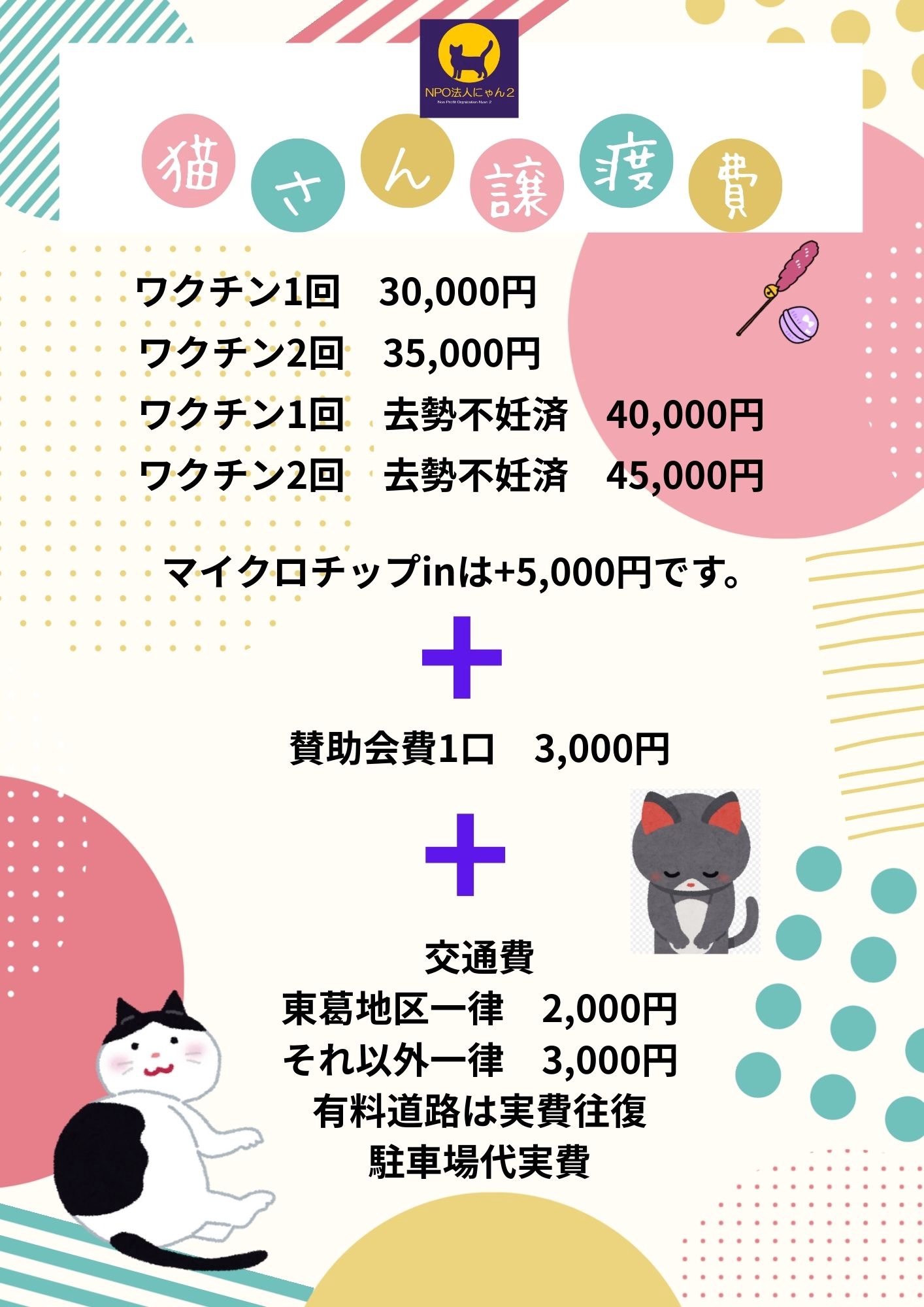 🌻猫譲渡条件😺 | NPO法人にゃん2
