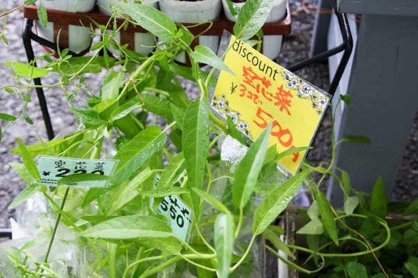 ガーデングッズが集まる 秋のガーデニング相談会 世田谷のお花屋さんyoukaenのshopblog