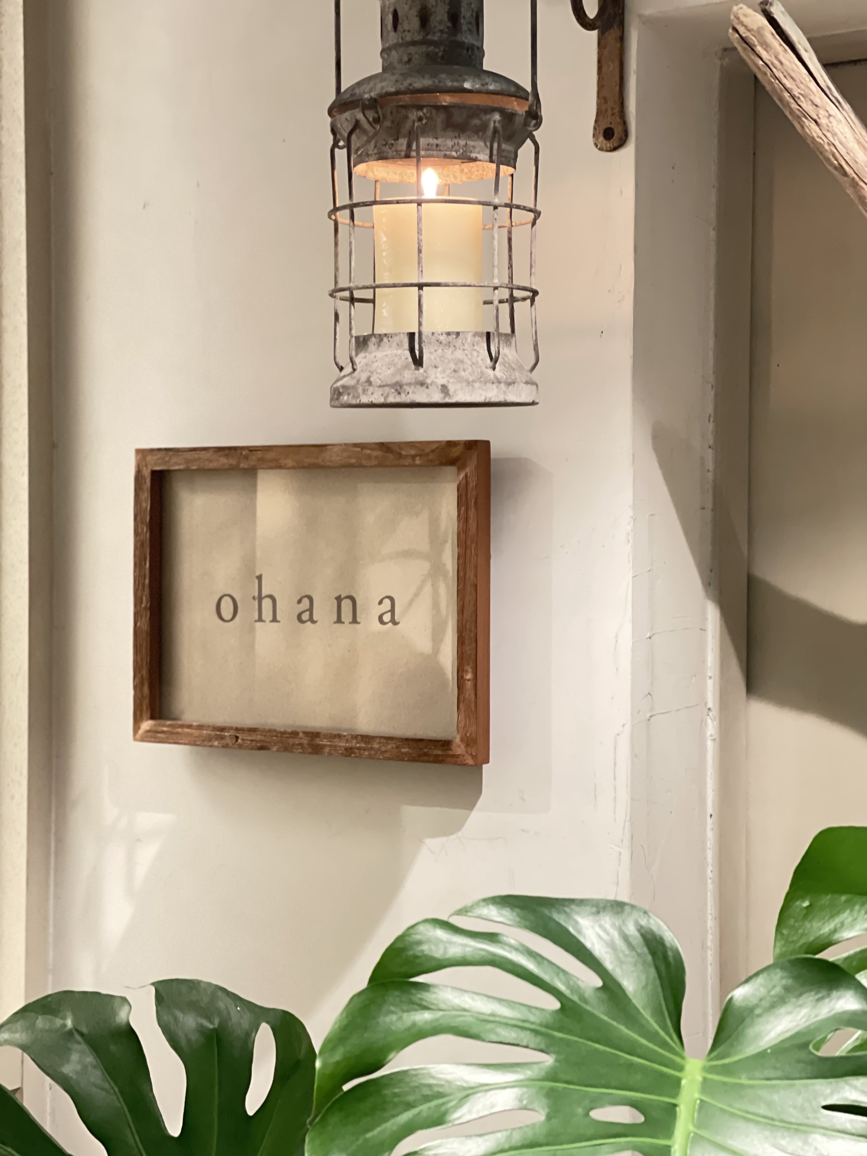 NEWS : ページ1 | ohana hair salon