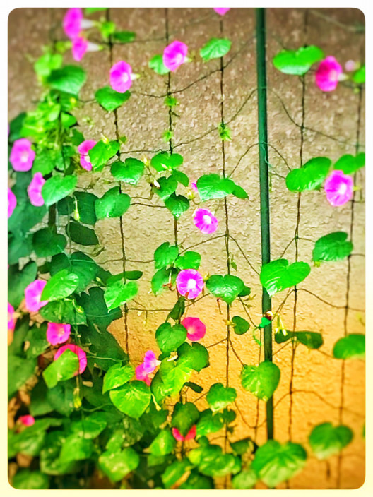 佐藤正彦 Official Site