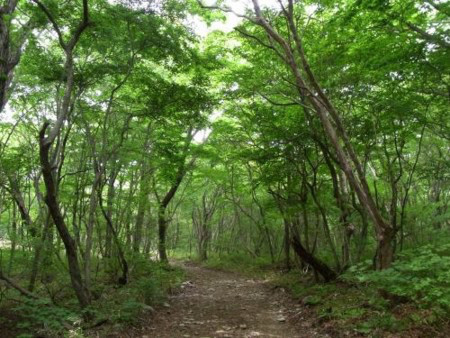 佐藤正彦 Official Site