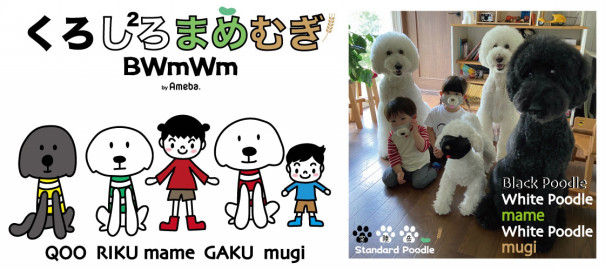 公式トップブロガー週間ニュース 21 10 14 Top Blogger S Magazine