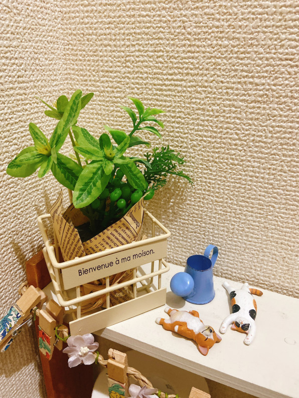トイレインテリア 癒しの空間にしたい ごっしーのきままな生活