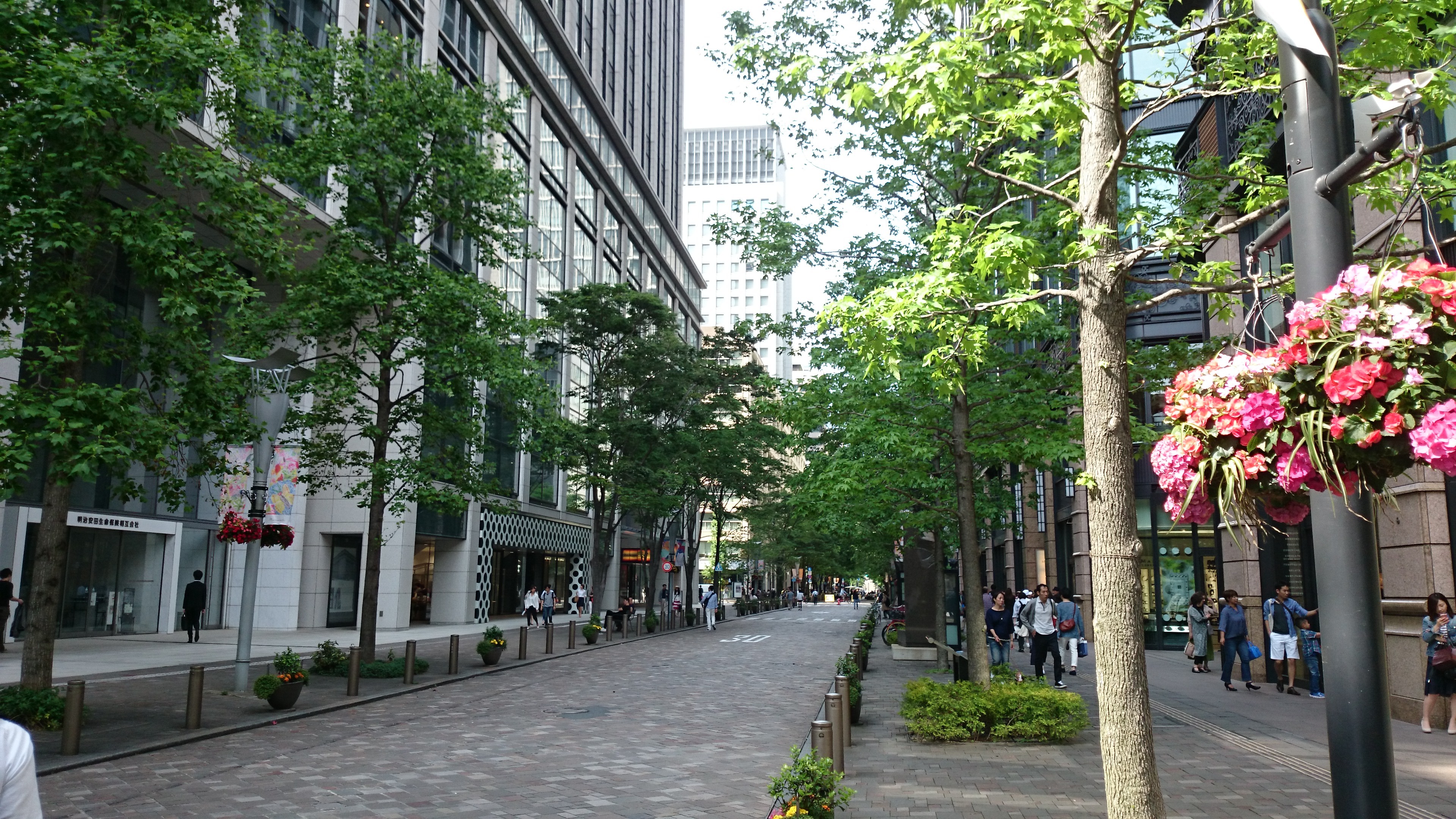 編入受験 農工大 横国 体験談 人生はガチャ理論 なろとぼのなるほど記録