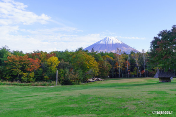 秋の西湖野鳥の森公園 あの場所で見た風景
