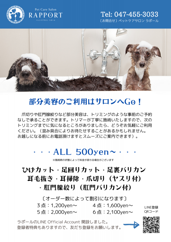 部分美容もお任せください Pet Care Salon Rapport 習志野市でトリミングサロン ペットホテル しつけ教室をお探しの方へ 幕張icから車で5分