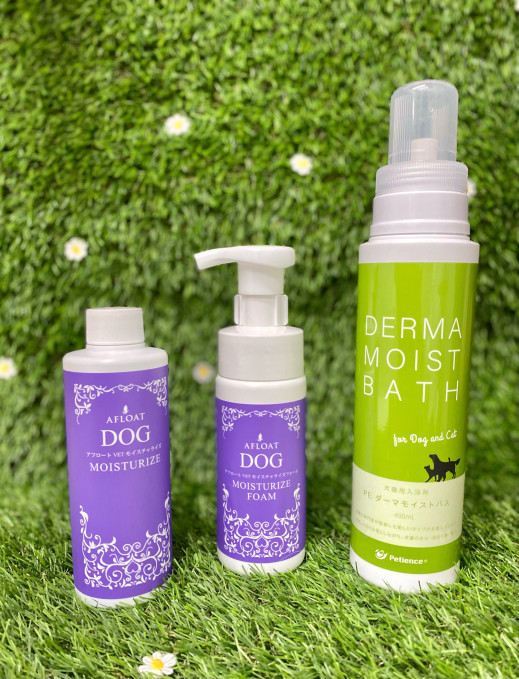 Pet Care Salon Rapport 習志野市でトリミングサロン ペットホテル しつけ教室をお探しの方へ 幕張icから車で5分の記事一覧 ページ2