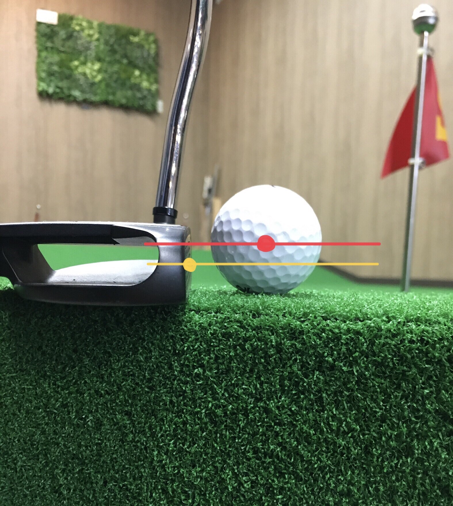 Amazon | THINKRO GOLF (シンクロゴルフ) パター専用練習ボール