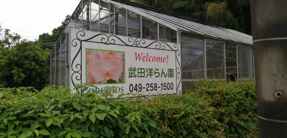 お花屋さん 飲食店では無いですがご協力を こんなにあった 三芳町グルメ