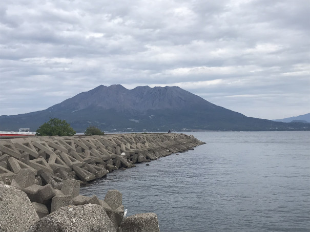 鹿児島日帰り出張 ライフリビング花畑