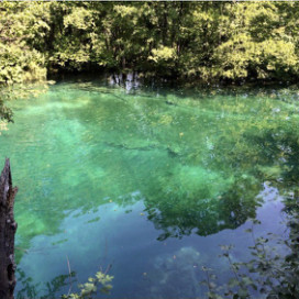 幸運の女神に後ろ髪はない 日英同時通訳者 古賀朋子 English Japanese Interpreter Tomoko Koga