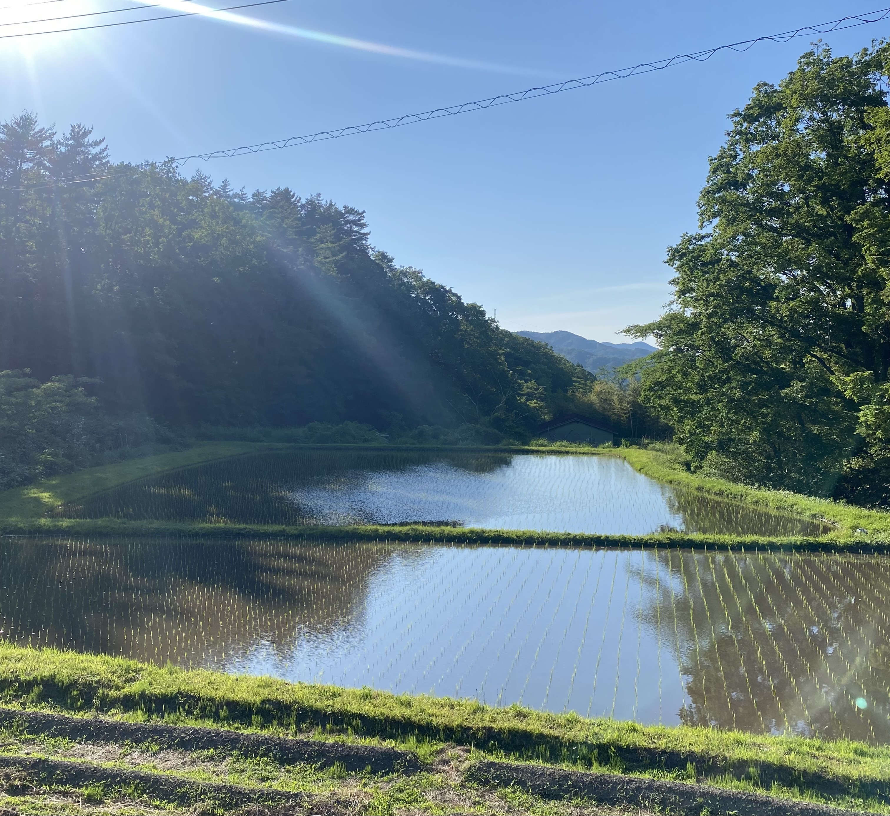 蒜山鰻専門店翏