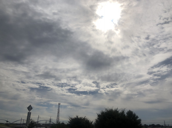 第7回結果報告 オリーブさん 龍ヶ崎 旅するボードゲームカフェでれすけ