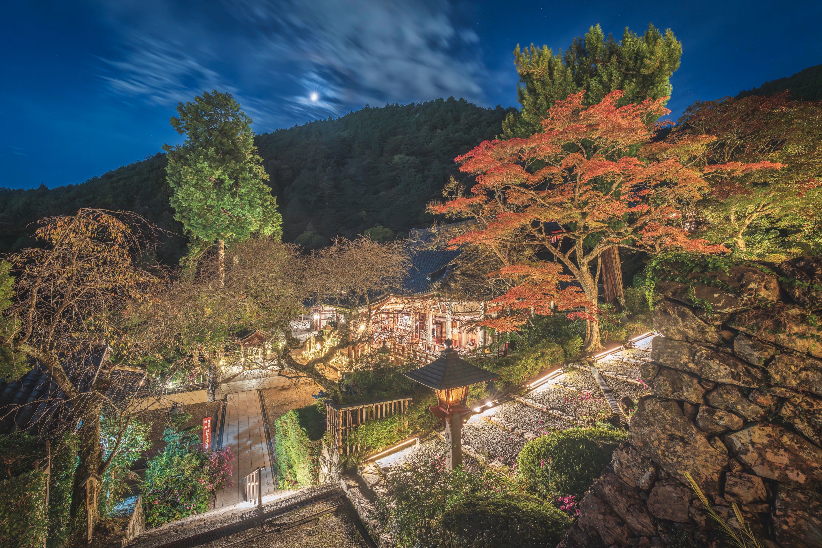 京都西山竹あかり〜幻想夜2025〜第二弾、善峯寺！ | 京都西山・大原野