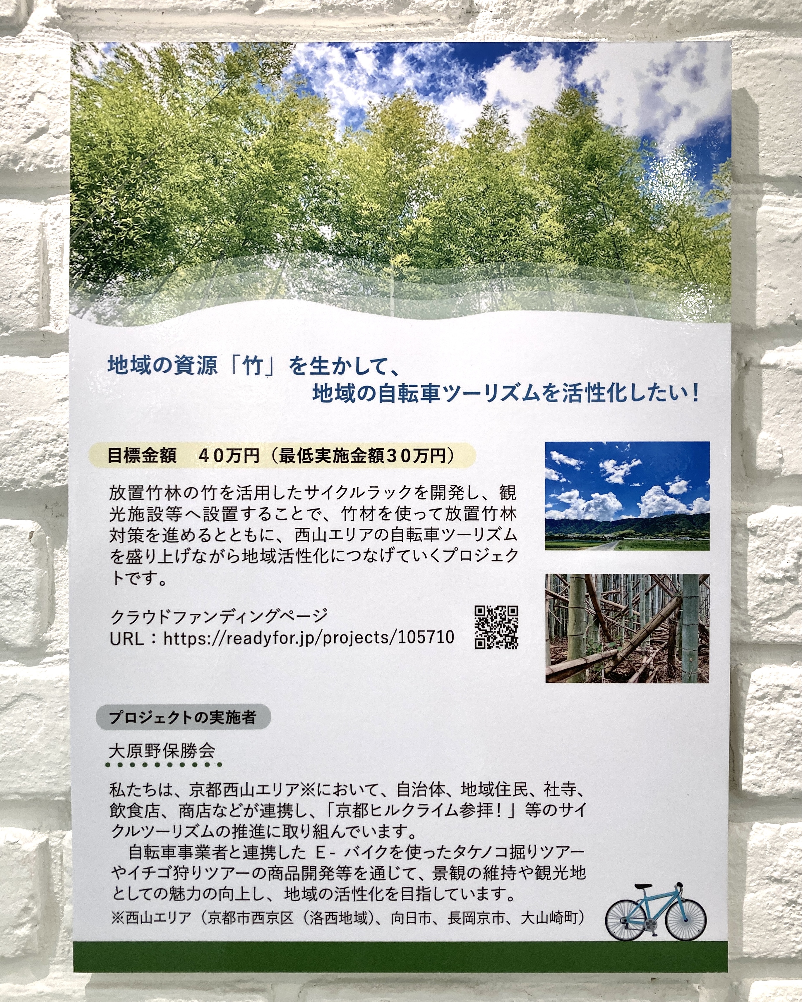 竹林 伐採 20,000円～ 竹林問題解決