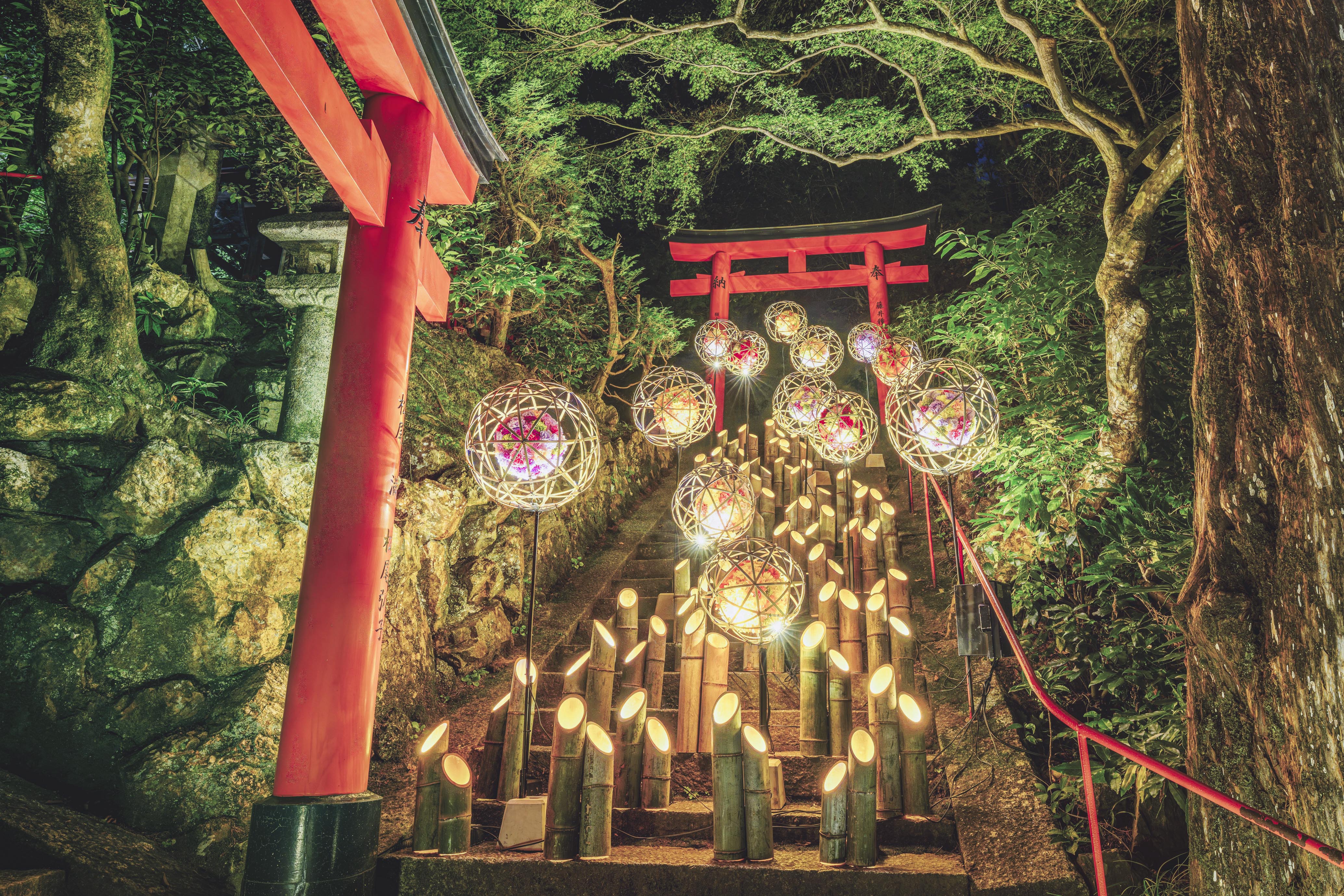 京都西山竹あかり 〜幻想夜2025〜 | 京都西山・大原野保勝会