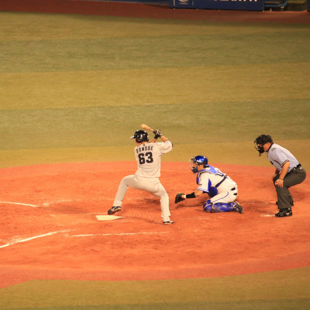 Won The Game Sakura Nikki