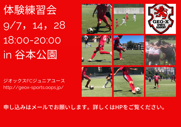 サッカージュニアユース ジオックススポーツアカデミー横浜