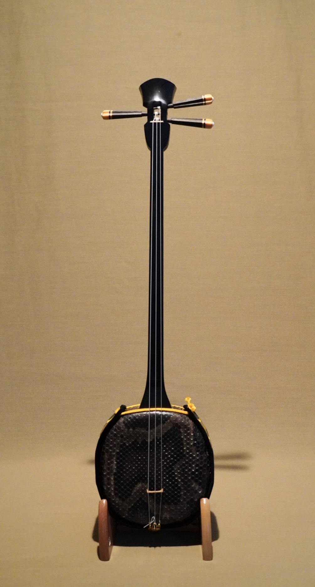八重山クルチ 真壁型 - 弦楽器、ギター