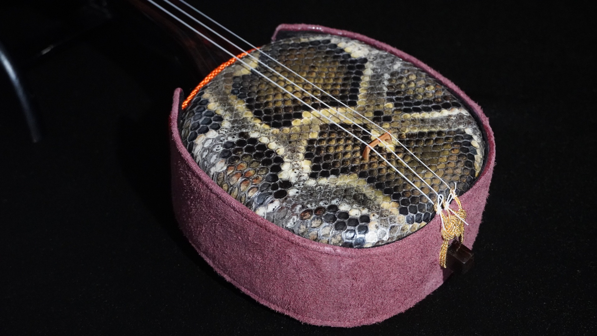 斑紋」八重山黒木ウジラ 三線信仰 1967年友へ贈った真壁型 | 胴巻屋