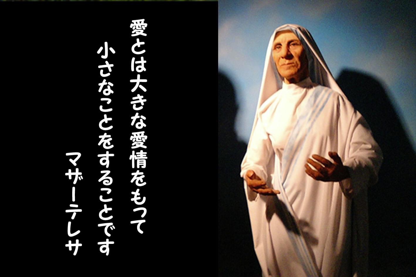 マザーテレサの日 保健所犬猫応援団 マザーテレサの日 保健所犬猫応援団